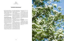 Les bienfaits des arbres - Christophe De Hody - E/P/A