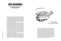 Saloperie de chat - Bernard-Pierre Molin - E/P/A