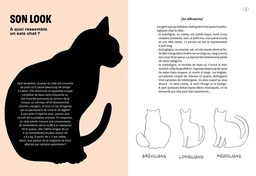 Saloperie de chat - Bernard-Pierre Molin - E/P/A