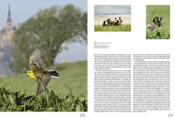 Mont-Saint-Michel - English version - Norman Barreau-Gély - E/P/A