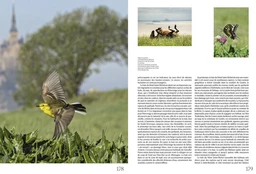 Mont Saint-Michel - Norman Barreau-Gély - E/P/A