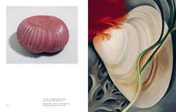 Contemplations. Quand la nature inspire l'art - Olivia Meehan - E/P/A