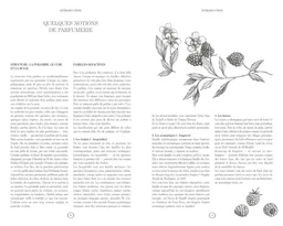 Le carnet de mes parfums - Josquin Champion-Després - E/P/A