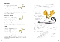Le Petit Guide des Pires oiseaux à la con - Matt Kracht - E/P/A