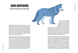 Con de chien - Bernard-Pierre Molin - E/P/A