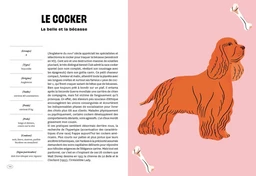Con de chien - Bernard-Pierre Molin - E/P/A